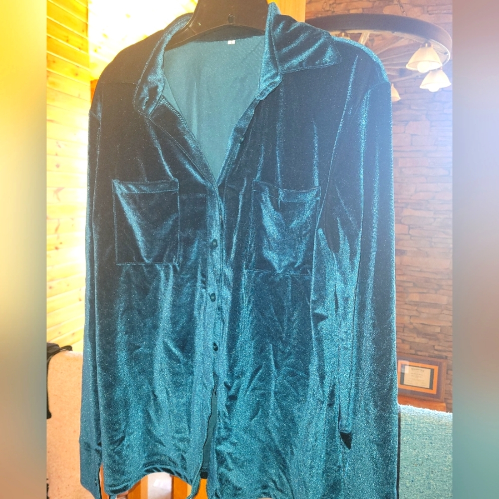 Vibrant blue velvet button down blouse new without tags size large